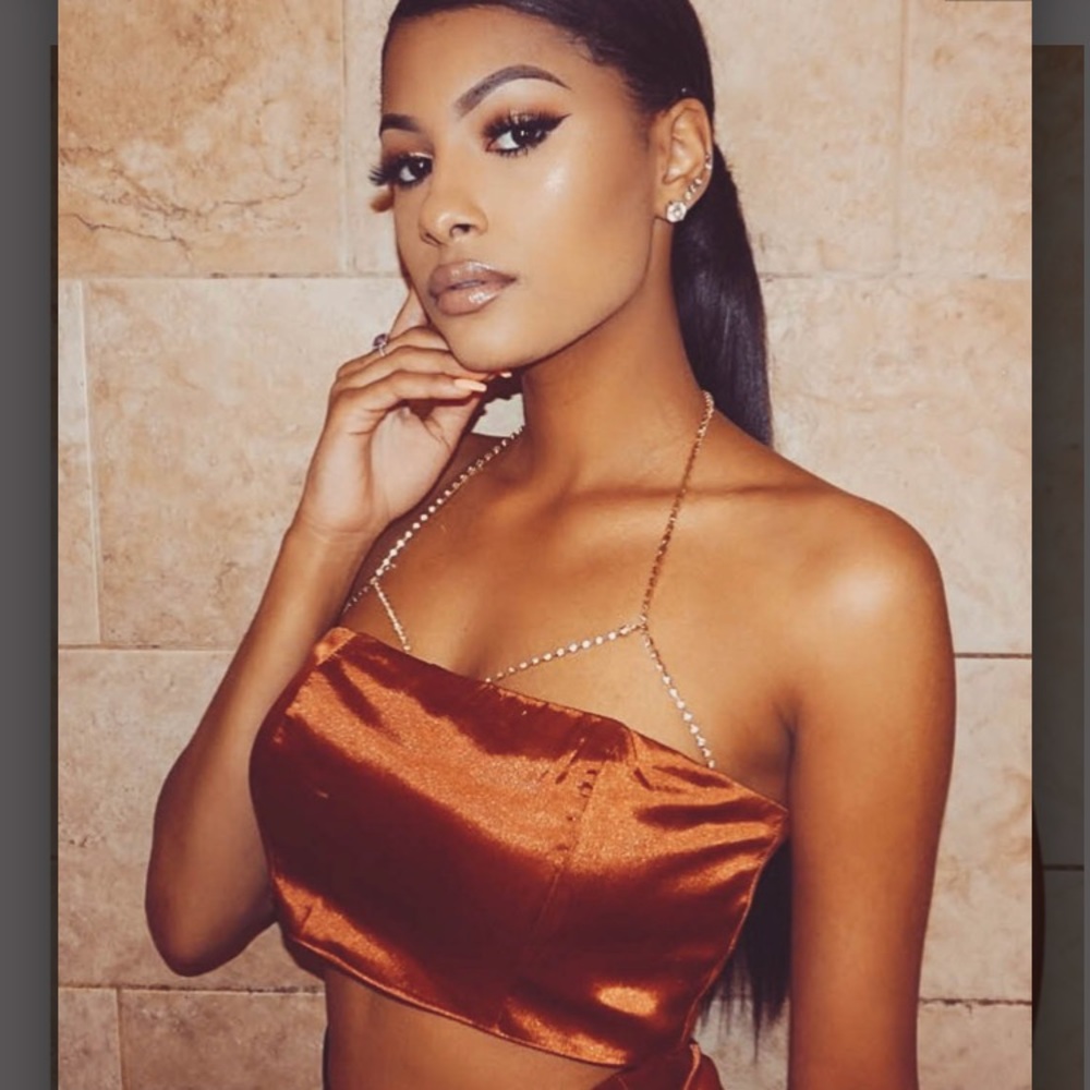Meshki Izumi Satin Panel Bandeau Color Rust